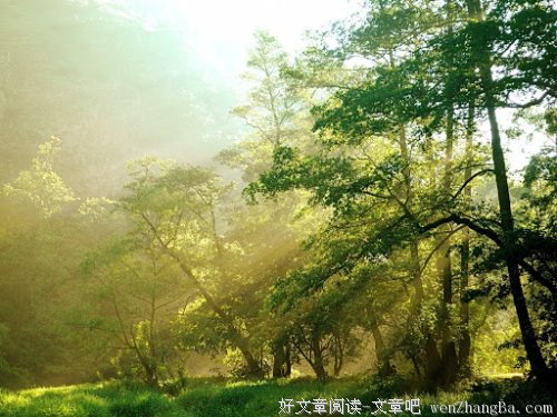 舅妈，我想对你说