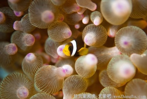 管不住的爱，是犯贱还是卑微。