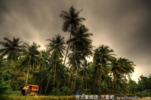 假假的幸福