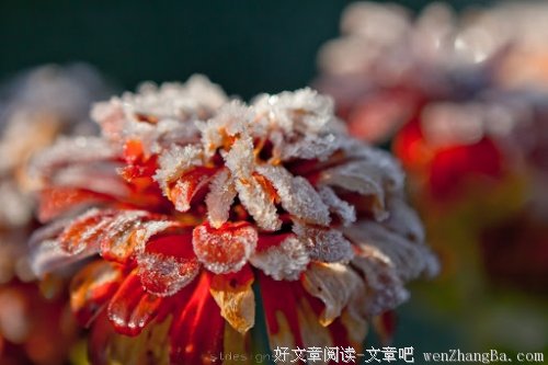 走下去，这是我的责任