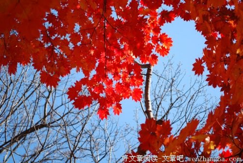 牢记气大伤身