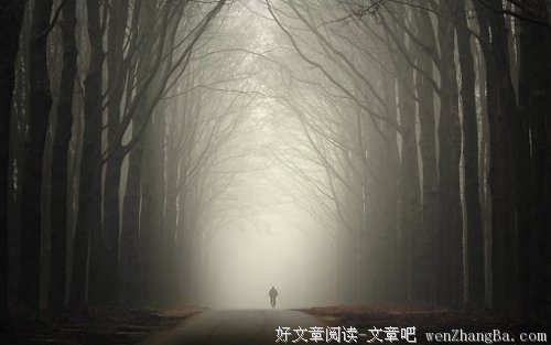 一份能力一份工资