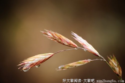 河南工大土建学院社会实践团队总结
