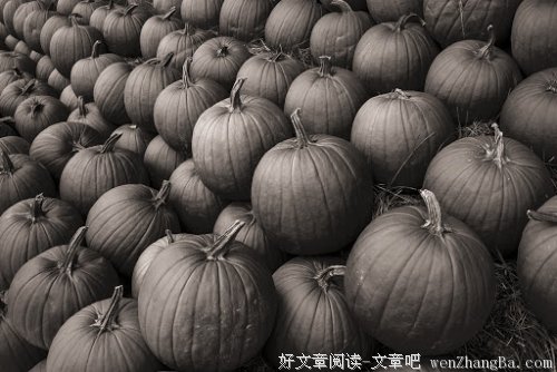 年矢每催