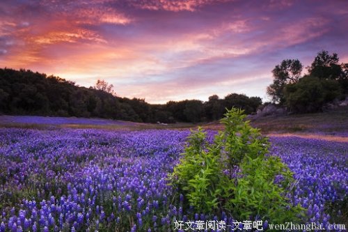 【春去秋来又一春】