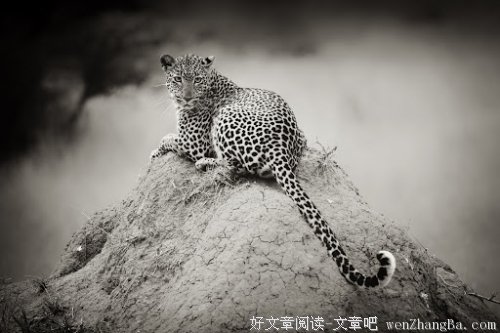 黄姚遗梦