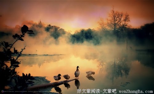 两只龟