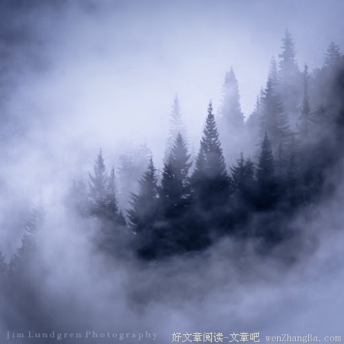 爱，就是一辈子