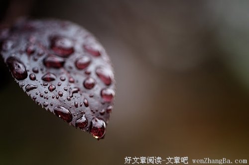 朋友辩&amp;#8226;上篇