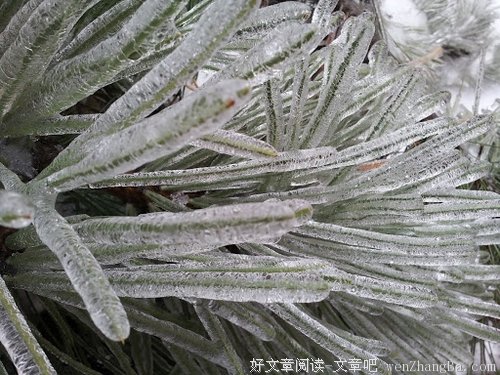小说，此去经年，还好吧
