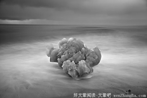 人生若只如初见