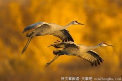 寒冬的记忆