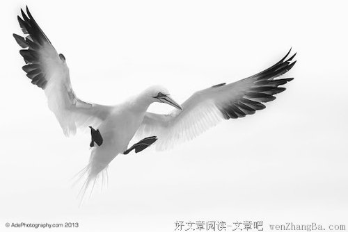 我和红尘有个约会；八