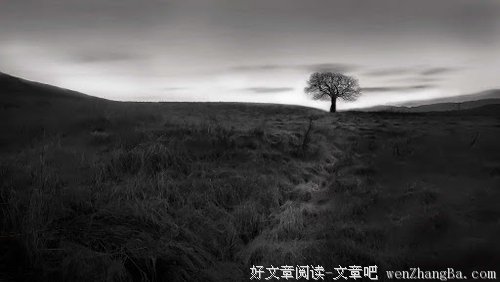 芒刺