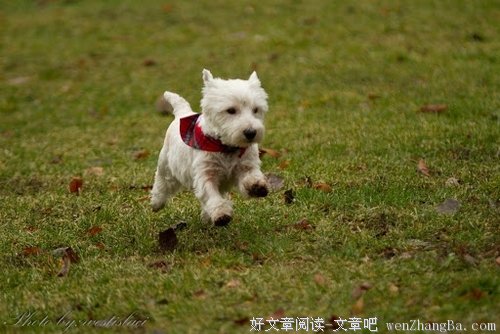 《成长——温暖的回忆》