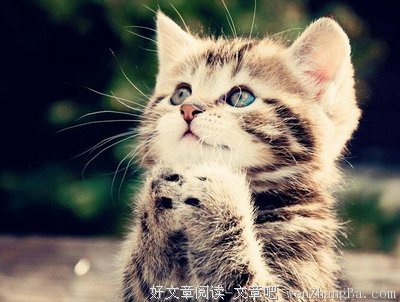 叭儿