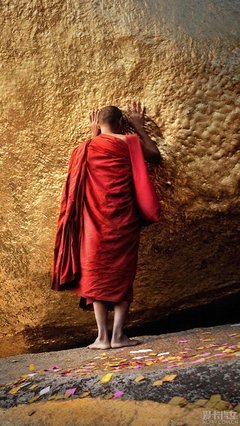 未来未可知，生命任前行