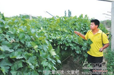 学费，母亲心头的累