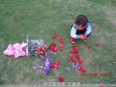 哭泣的玫瑰