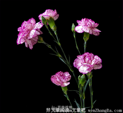 因为负责，所以舍得