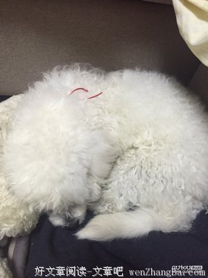 愿你依旧安好