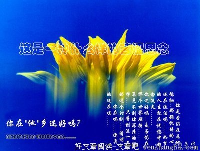 你在他乡，还好吗？