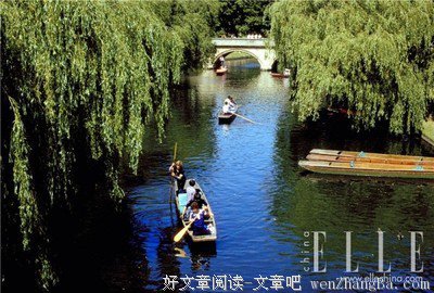 亲爱的小公主