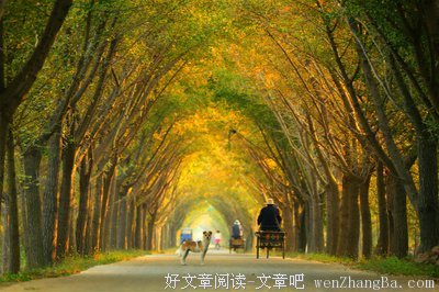再回首，恍然如梦