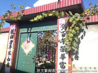 秋天里的葡萄藤