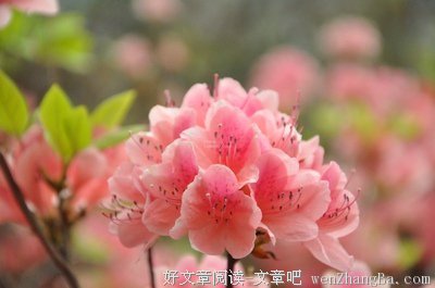 杂谈小记