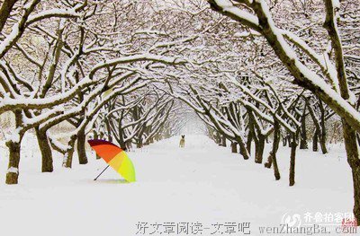 山楂情结