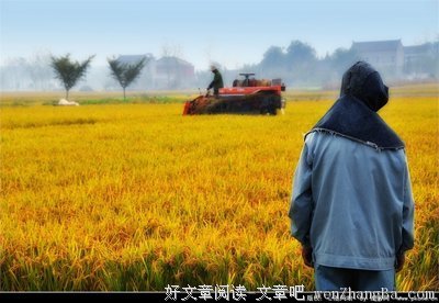 随风而动（24）
