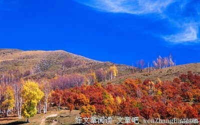 浅谈散文写作