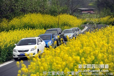 体验生活在乡村