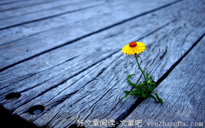 无限荒凉（一）