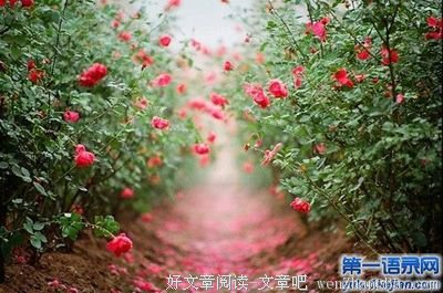 最新的《眠空》散文美句大全