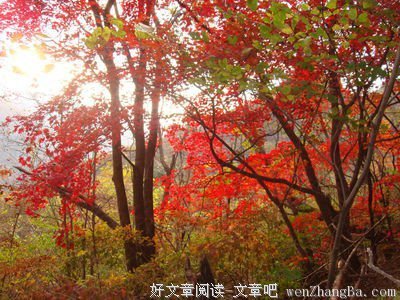 最经典的《稀里糊“图”一锅酸甜苦辣粥》好段摘抄