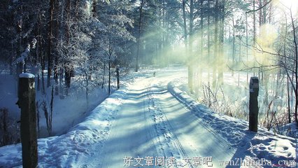 《红颜露水》语录摘抄大全