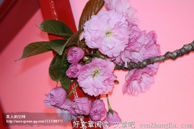 最经典的《今天也要用心过生活》经典语句