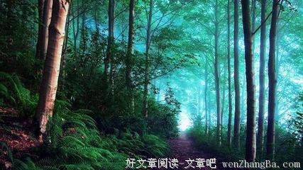 最全的《阿尼玛》语录摘抄