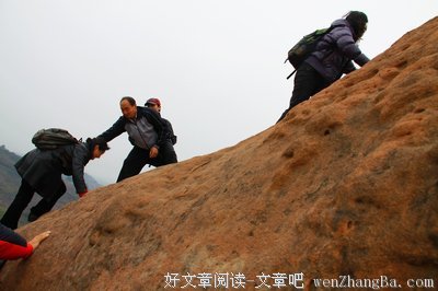 最经典的《小毛驴与我》经典语录