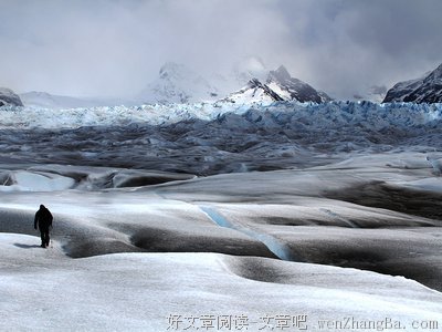 最新的《尘埃落定》语录摘抄