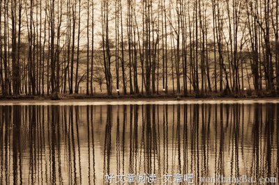 最新的《如果在冬夜，一个旅人》小说句子