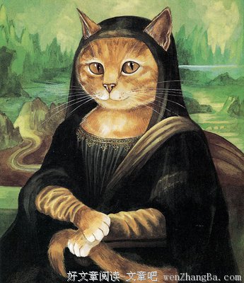 最全的微笑的猫精彩语录