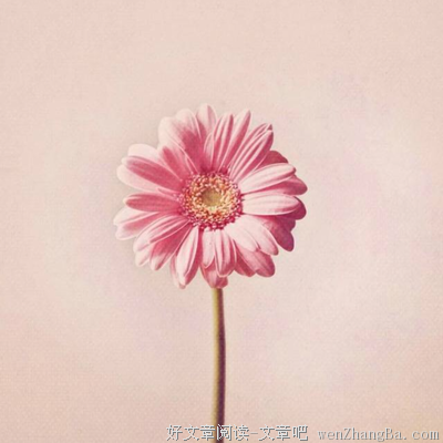 最经典的《深夜物语》名句欣赏
