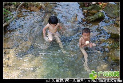 《歧路》小说摘抄大全
