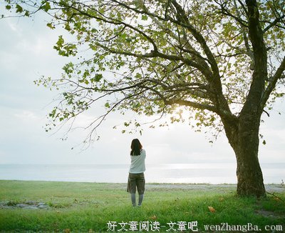 最全的《我喜欢你是寂静的》经典语录大全
