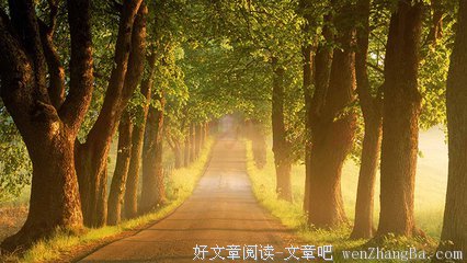 最新的《礼记》好段摘抄大全