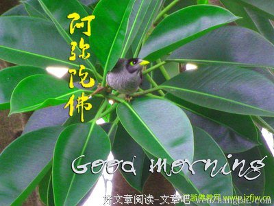 2017庄圆法师精彩语录
