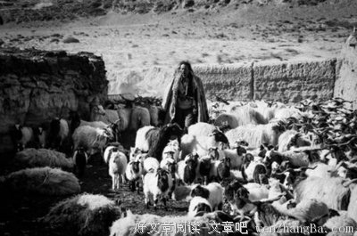 《长镜头》经典语录大全